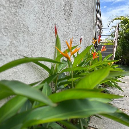 Cosy 2 Bedrooms Apts In Pereybere -Seasons Break Apartment 페레이베레 외부 사진